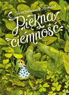 Komiksy dla dorosłych - Piękna ciemność - miniaturka - grafika 1