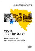 Historia Polski - Czyja jest Bośnia Nowa - miniaturka - grafika 1