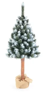 Biss Choinka Sosna diamentowa na pniu 220cm - Ozdoby bożonarodzeniowe Biss Choinka Sosna diamentowa na pniu 220cm - Ozdoby bożonarodzeniowe - miniaturka - grafika 1