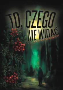 To, czego nie widać - Bartek Bikowski - Fantasy - miniaturka - grafika 1
