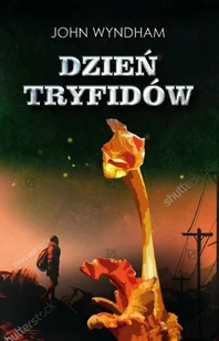DZIEŃ TRYFIDÓW John Wyndham - Fantasy - miniaturka - grafika 1
