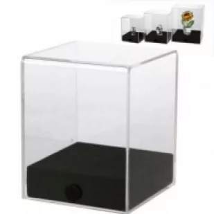 Acryl-Vitrine "cube" 8 x 8 x 10 cm - Pozostałe książki - miniaturka - grafika 1