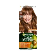Farby do włosów i szampony koloryzujące - Garnier Color Naturals Farba do włosów 40 ml Odcień 6.34 Chocolate - miniaturka - grafika 1