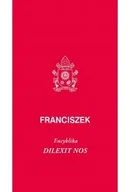 Religia i religioznawstwo - Dilexit nos. Encyklika o miłości ludzkiej... - miniaturka - grafika 1