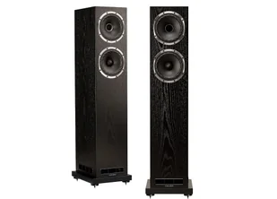 FYNE AUDIO F501 S Black Oak - Głośniki i kolumny - miniaturka - grafika 1