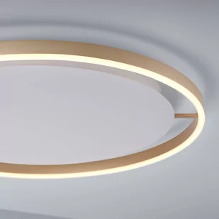 Paul Neuhaus Mosiężna lampa sufitowa 58 8 cm z 3-stopniową regulacją LED - Zlatan - Lampy sufitowe - miniaturka - grafika 1