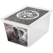 Pojemniki kuchenne - Pojemnik do przechowywania X Box Deco koala 30 l BRANQ - miniaturka - grafika 1