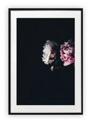 Plakaty - Plakat B1 70x100 cm Rośliny Kwiaty WZORY - miniaturka - grafika 1