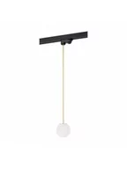 Lampy pozostałe - Argon Reflektor do szynoprzewodu BANG 1x6W G9 4308  4308 - miniaturka - grafika 1