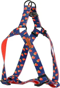 Dino DINO SZELKI TAŚMA REG. IVO 25mm TRUSKAWK dł. 60-90cm - Szelki dla psów - miniaturka - grafika 1