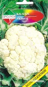 Nasiona i cebule - Kalafior Pionier nasiona 1g Spójnia - miniaturka - grafika 1