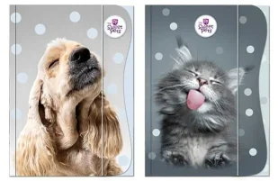 Teczka z gumką A4 The Sweet Pets - Beniamin - Teczki i skoroszyty - miniaturka - grafika 1