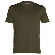 Koszulki sportowe męskie - Męska koszulka Icebreaker Men Merino Core SS Tee Rozmiar: L / Kolor: zielony - miniaturka - grafika 1
