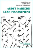 Ekonomia - Audyt narzędzi Lean Management - miniaturka - grafika 1