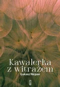Powieści historyczne i biograficzne - kawalerka z witrażem - miniaturka - grafika 1