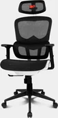 Fotele i krzesła biurowe - Krzesło biurowe Drift Krzesło Biurowe DRIFT DRAIR200 Czarny - miniaturka - grafika 1