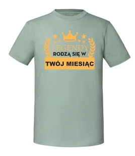 Damska koszulka z nadrukiem - Labrador - sweter Miętowy M - Swetry damskie Damska koszulka z nadrukiem - Labrador - sweter Miętowy M - Swetry damskie - miniaturka - grafika 1