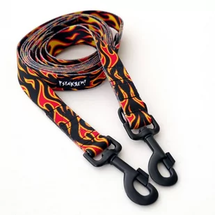 Długa Smycz Dla Psa Przepinana Regulowana Dog On Fire Psiakrew Design szerokość 2,5 cm, duży czarny karabińczyk-300 cm - Smycze dla psów - miniaturka - grafika 1