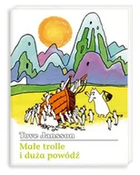 Książki edukacyjne - Małe trolle i duża powódź - miniaturka - grafika 1