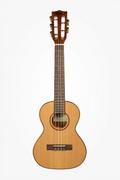 Instrumenty smyczkowe - Kala Kala KA ASAC T8 Solid Acacia Tenor 8 stringi z futerałem KA KA ASAC T8 - miniaturka - grafika 1