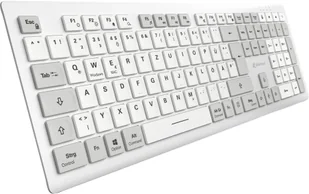 Sharkoon OfficePal K30W biały DE-Layout Rubberdome - Klawiatury - miniaturka - grafika 1