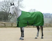 Derki dla konia - BUCAS Derka stajenna FREEDOM STABLE 150g - emerald green - miniaturka - grafika 1