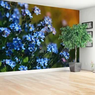 Fototapety - Fototapeta Niezapominajki - miniaturka - grafika 1
