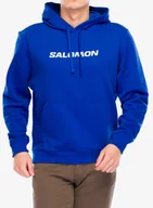 Bluzy sportowe męskie - Bluza Salomon Logo Perf HD - surf the web - miniaturka - grafika 1