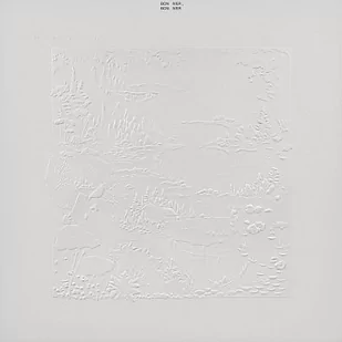 Bon Iver (10th Anniversary Edition) - Muzyka alternatywna Bon Iver (10th Anniversary Edition) - Muzyka alternatywna - miniaturka - grafika 1