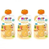 Desery dla dzieci - Hipp Smoothie Mus z owoców i soków po 1. roku jabłka-banany-mandarynki zestaw 3 x 120 ml Bio - miniaturka - grafika 1