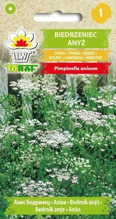 Biedrzeniec Anyż Nasiona - Nasiona i cebule - miniaturka - grafika 1
