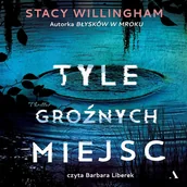 Audiobooki - kryminał, sensacja, thriller - Tyle groźnych miejsc - miniaturka - grafika 1