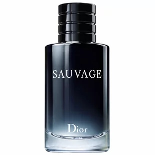 Dior Dior Sauvage woda toaletowa 100ml - Wody i perfumy męskie - miniaturka - grafika 1