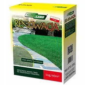 Nasiona i cebule - Mieszanka traw RENOWACJA 1kg - miniaturka - grafika 1