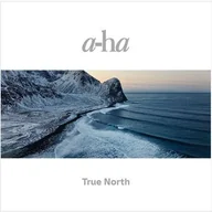 Winyle - True North - miniaturka - grafika 1