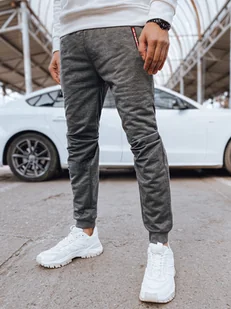Spodnie męskie dresowe jasnoszare Dstreet UX4281-2XL/3XL - Spodnie męskie - miniaturka - grafika 1