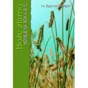 Religia i religioznawstwo - Boże ziarno - miniaturka - grafika 1