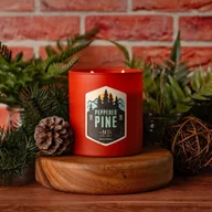 Świece - Sojowa świeca zapachowa męska w szkle Colonial Candle 425 g Sosna Mech - miniaturka - grafika 1