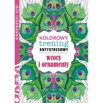 Wzory i ornamenty kolorowy trening antystresowy - Poradniki hobbystyczne - miniaturka - grafika 1
