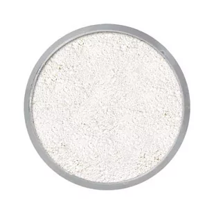 KRYOLAN Translucent Powder Professional Puder transparentny TL2 60g 1234576849 - Pudry do twarzy - miniaturka - grafika 1