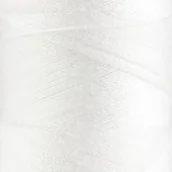 Pasmanteria - Ariadna, nici szwalne Talia 120 kolor 0700 - miniaturka - grafika 1