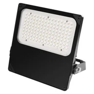 Lampy ogrodowe - Naświetlacz LED ASIMO asymmetric 100W, czarny, neutralna biel - miniaturka - grafika 1