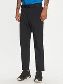 Odzież trekkingowa męska - Columbia Spodnie outdoor Silver Ridge™ 2012952 Czarny Regular Fit - miniaturka - grafika 1