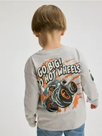Bluzki dla niemowląt - Reserved - Longsleeve Hot Wheels - jasnoszary - miniaturka - grafika 1