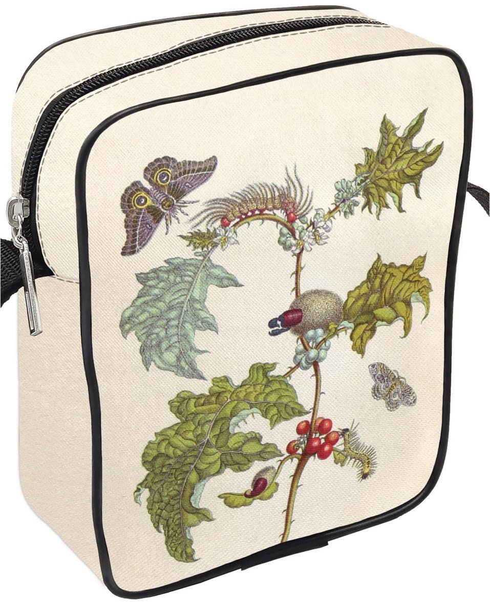 Torba listonoszka Metamorfoza owadów Surinamensium Maria Sibylla Merian