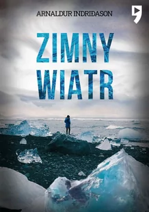 Zimny wiatr. Komisarz Erlendur Sveinsson. Tom 7 - E-booki - kryminał i sensacja - miniaturka - grafika 1