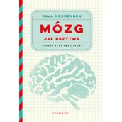 Felietony i reportaże - Mózg jak brzytwa Roczny plan treningowy Nowa - miniaturka - grafika 1