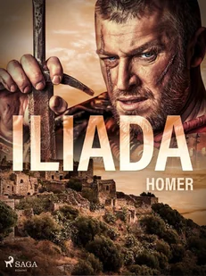 Iliada - E-booki - literatura obca - miniaturka - grafika 1