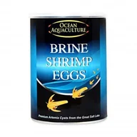 Pokarm dla ryb - Ocean Aquaculture, brine shrimp eggs, jaja artemii do wyl�gu, waga netto 454g, puszka - miniaturka - grafika 1