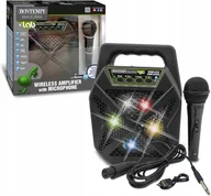 Instrumenty muzyczne dla dzieci - Wzmacniacz Bezprzewodowy Mikrofon Głośnik Karaoke Efekty - miniaturka - grafika 1